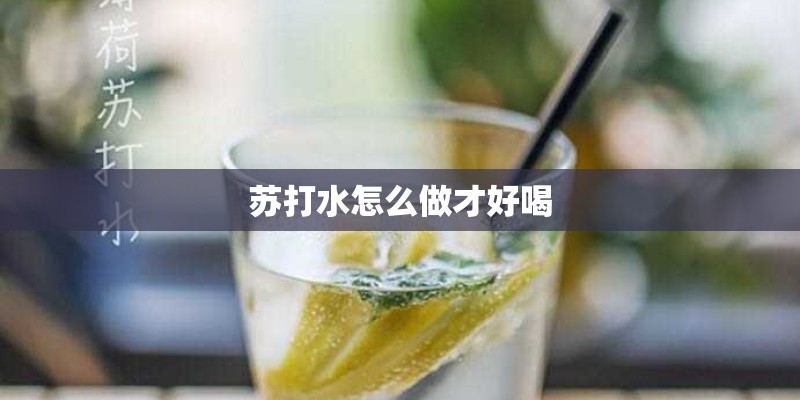 苏打水怎么做才好喝