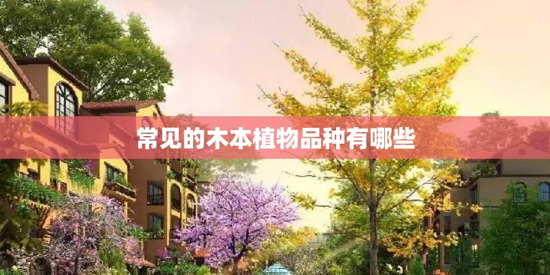 常见的木本植物品种有哪些