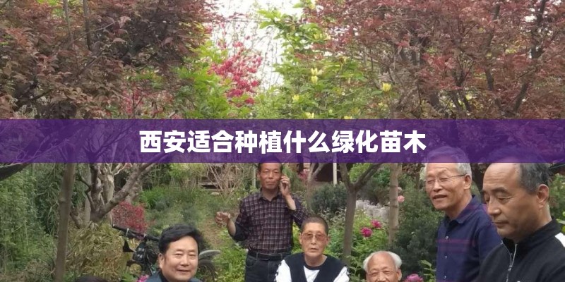 西安适合种植什么绿化苗木