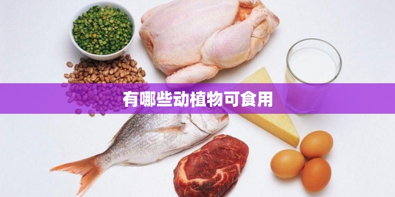 有哪些动植物可食用