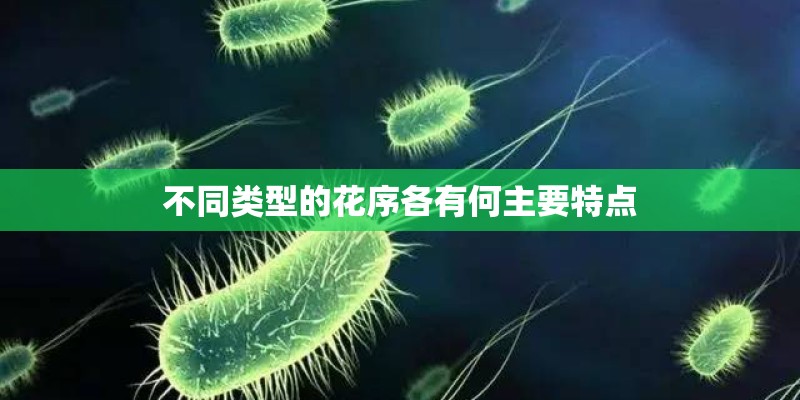 不同类型的花序各有何主要特点