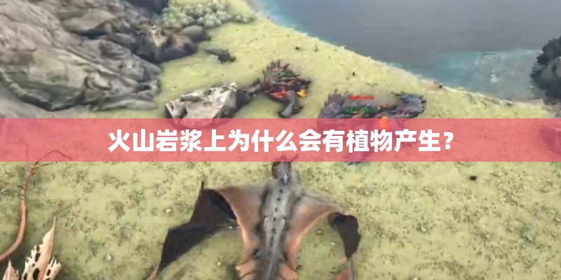 火山岩浆上为什么会有植物产生？