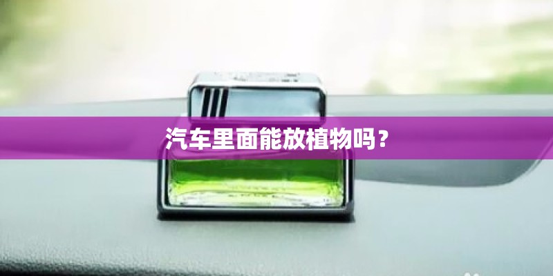 汽车里面能放植物吗？