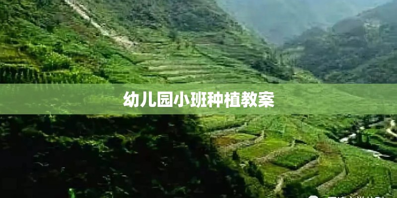 幼儿园小班种植教案