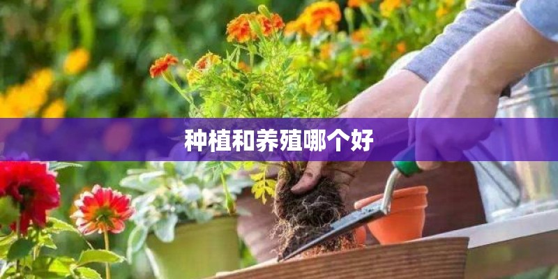 种植和养殖哪个好