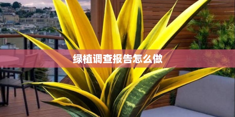 绿植调查报告怎么做 绿植调查报告怎么做