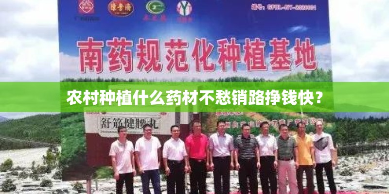 农村种植什么药材不愁销路挣钱快？