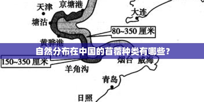 自然分布在中国的苜蓿种类有哪些？