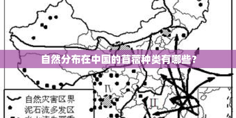 自然分布在中国的苜蓿种类有哪些？