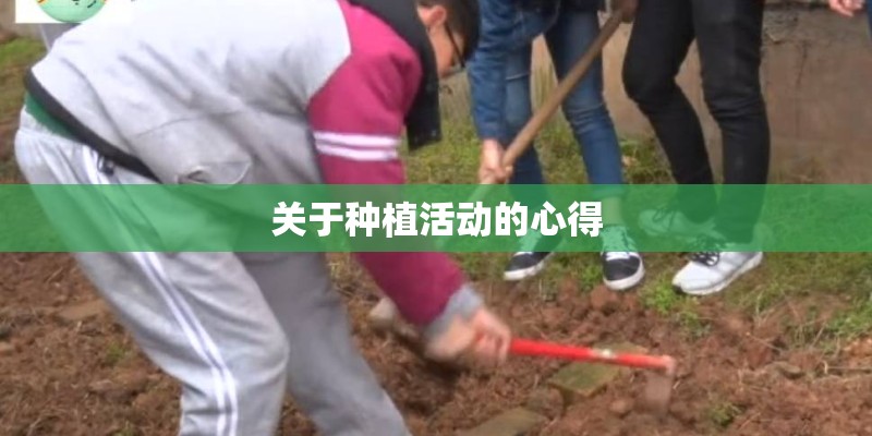 关于种植活动的心得