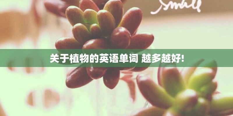 关于植物的英语单词 越多越好!