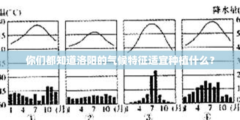 你们都知道洛阳的气候特征适宜种植什么？