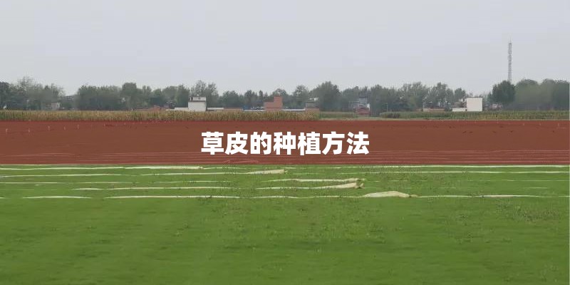 草皮的种植方法