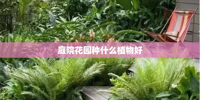 庭院花园种什么植物好
