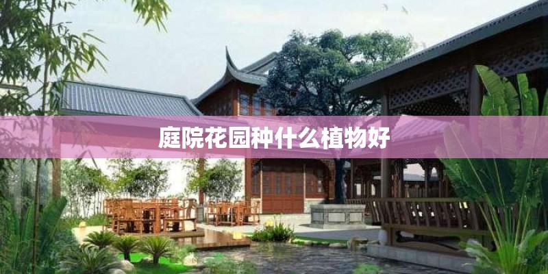 庭院花园种什么植物好