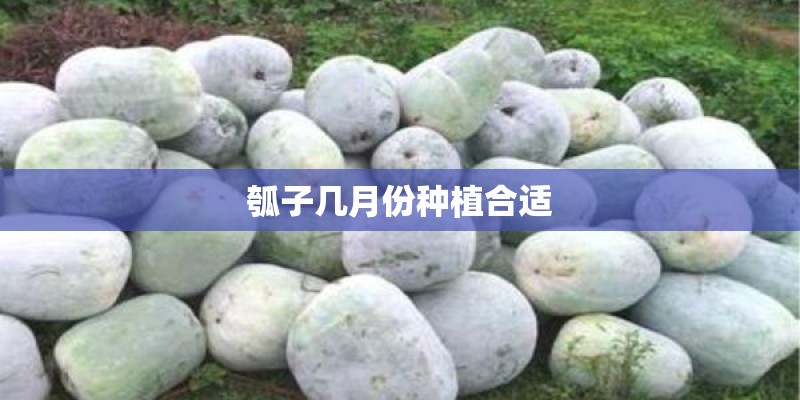 瓠子几月份种植合适