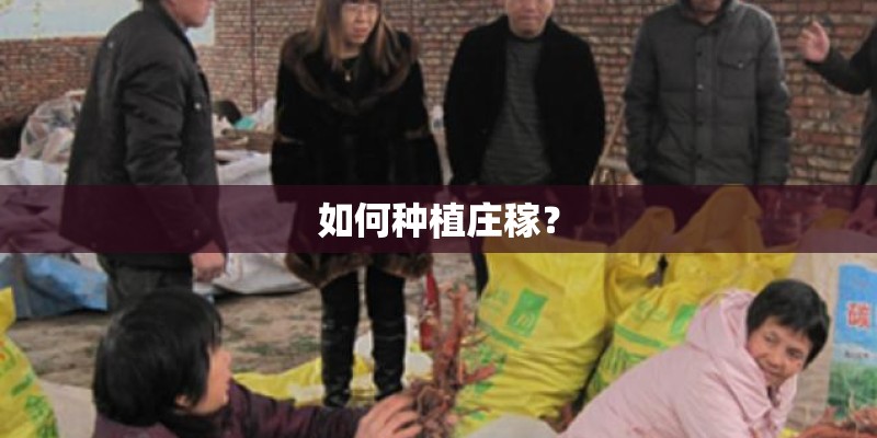 如何种植庄稼？