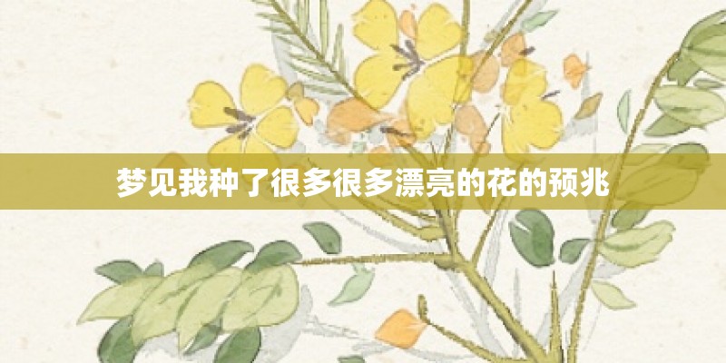 梦见我种了很多很多漂亮的花的预兆