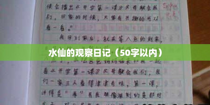 水仙的观察日记（50字以内）
