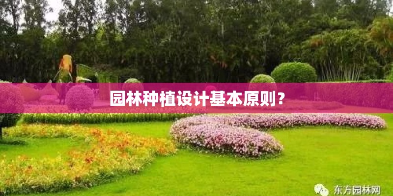 园林种植设计基本原则？