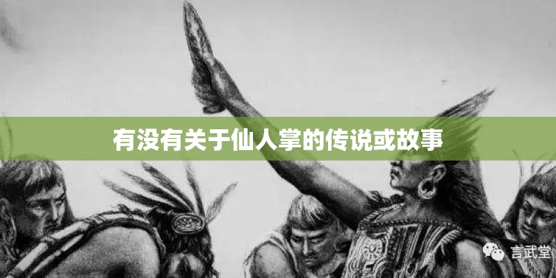 有没有关于仙人掌的传说或故事