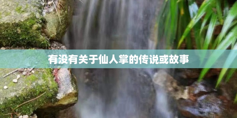 有没有关于仙人掌的传说或故事