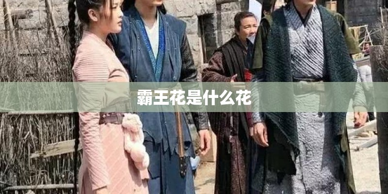 霸王花是什么花