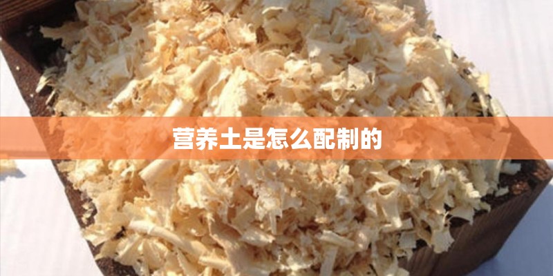 营养土是怎么配制的