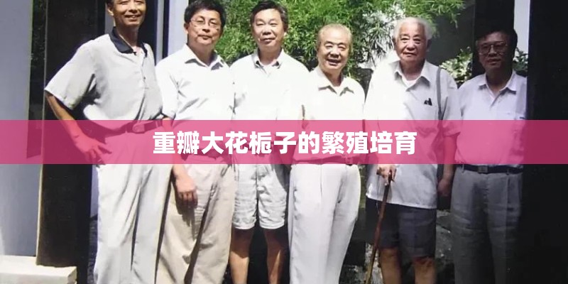 重瓣大花栀子的繁殖培育