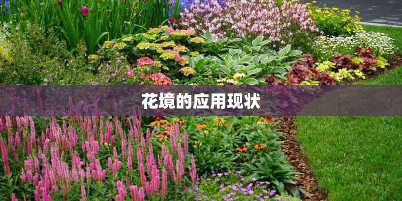 花境的应用现状