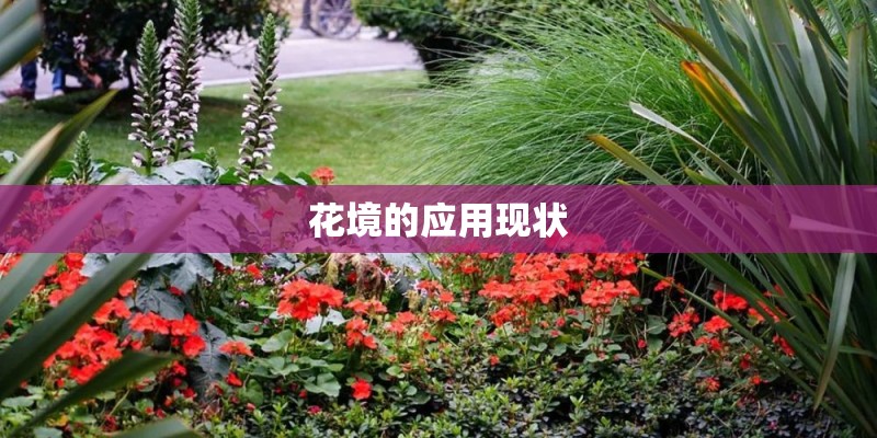 花境的应用现状