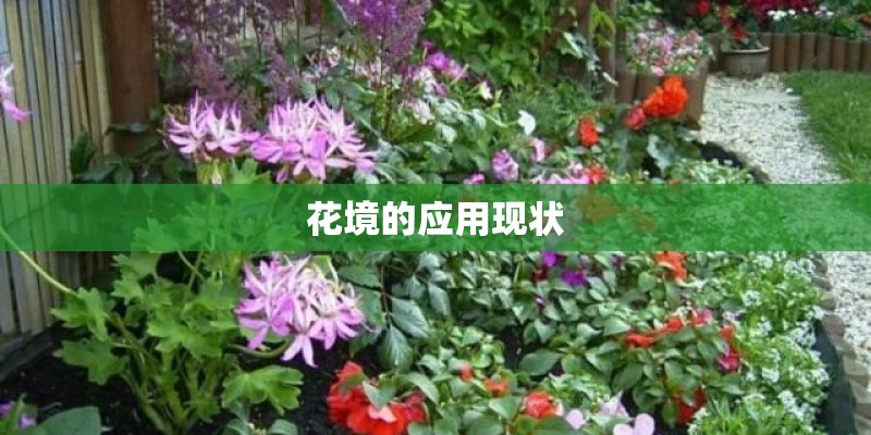 花境的应用现状