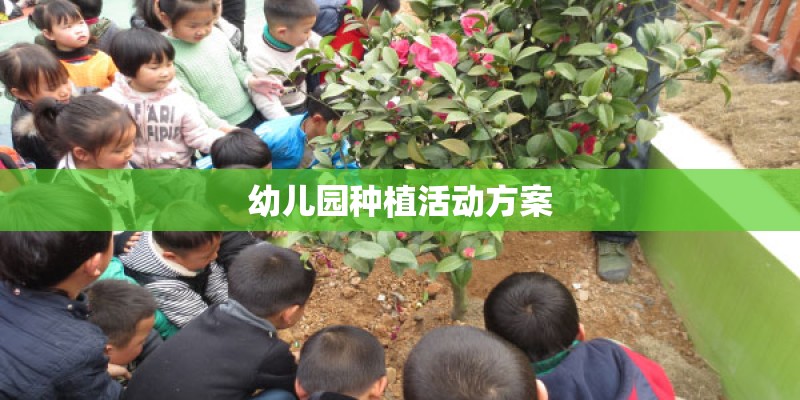 幼儿园种植活动方案