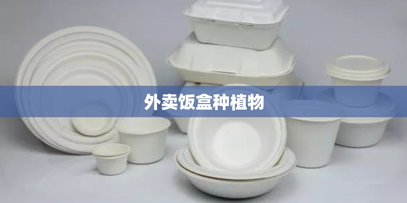 外卖饭盒种植物