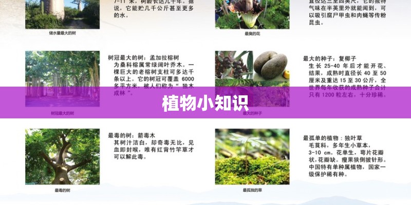 植物小知识