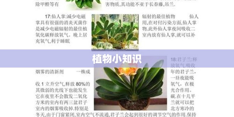 植物小知识