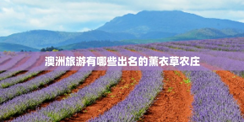 澳洲旅游有哪些出名的薰衣草农庄