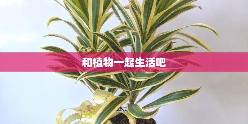 和植物一起生活吧