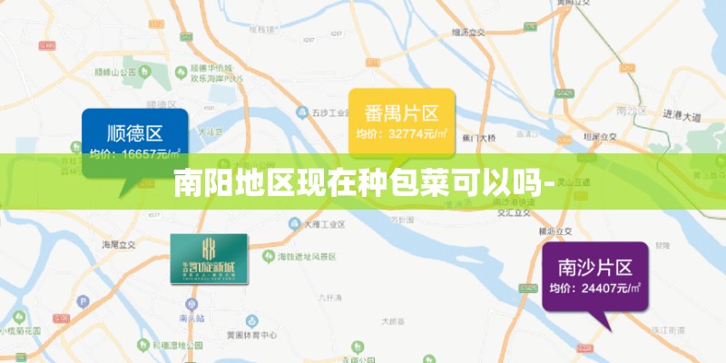 南阳地区现在种包菜可以吗-