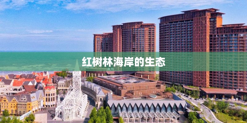 红树林海岸的生态
