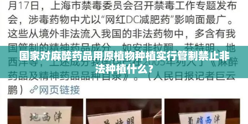 国家对麻醉药品用原植物种植实行管制禁止非法种植什么？