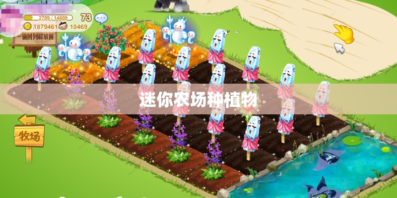迷你农场种植物