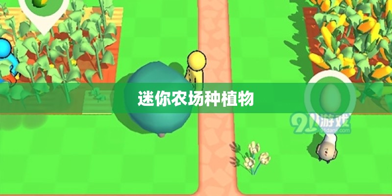迷你农场种植物