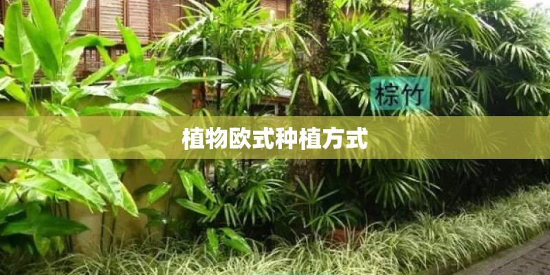 植物欧式种植方式