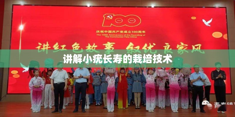 讲解小疣长寿的栽培技术