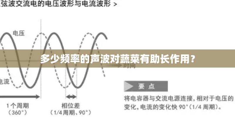 多少频率的声波对蔬菜有助长作用？