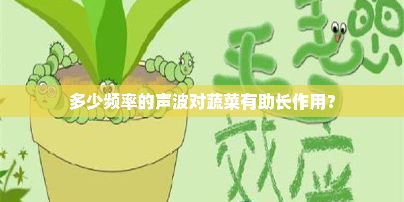 多少频率的声波对蔬菜有助长作用？