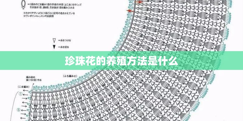珍珠花的养殖方法是什么