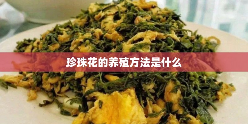 珍珠花的养殖方法是什么