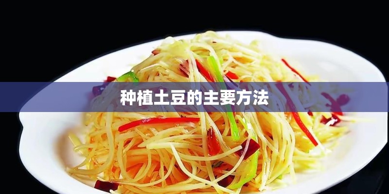 种植土豆的主要方法